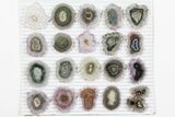 Lot: ~ Amethyst Stalactite Slices ( Pieces) #101756-1